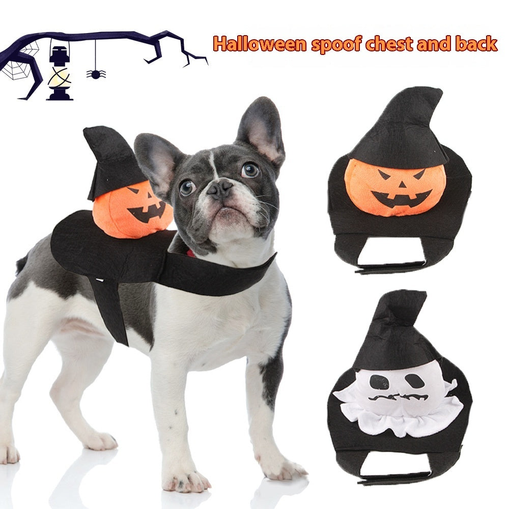 Halloween Pet Collection